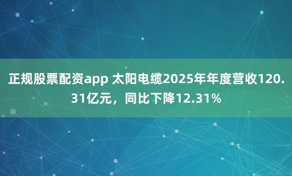 正规股票配资app 太阳电缆2025年年度营收120.31亿元，同比下降12.31%